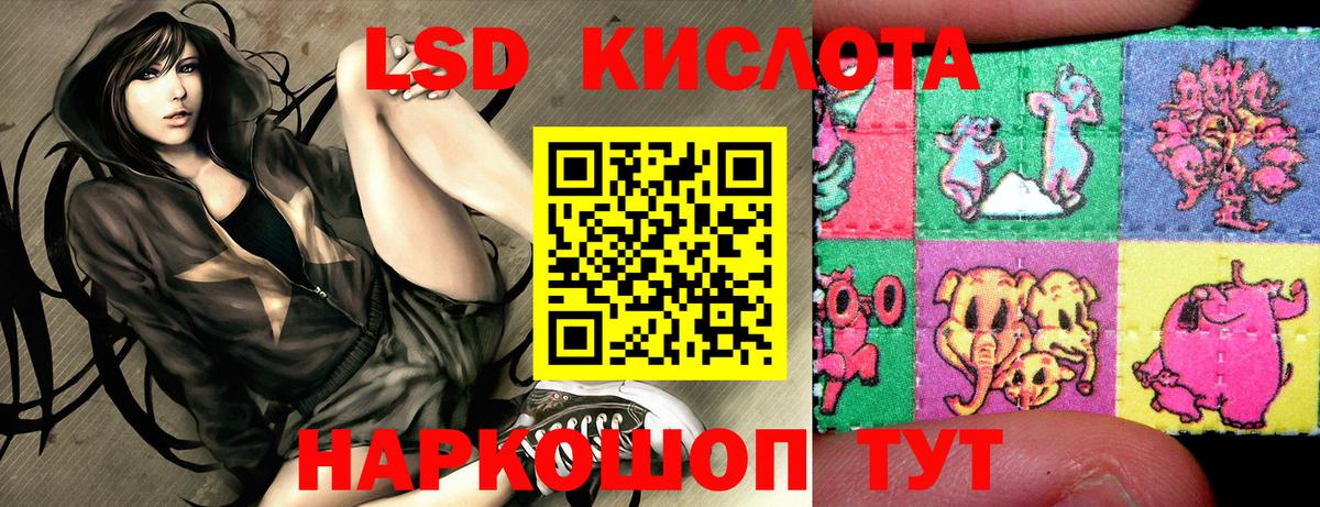  COCAIN Орёл