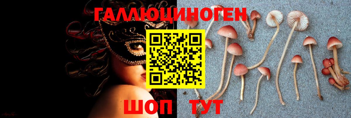 Галлюциногенные грибы Psilocybine cubensis Орёл